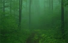 Hacia el País Borroso